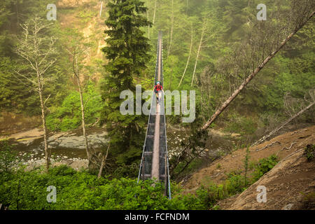 . BRITISH COLUMBIA - Wanderer überqueren die Hängebrücke über Logan Creek an einem nebligen Morgen entlang der Westküste von Vancouver Island Stockfoto