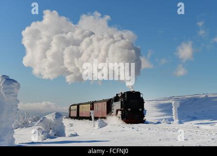 Eine Lokomotive der Harzer Schmalspurbahnen GmbH (HSB) zieht Personenzug auf Brocken Berg in Wernigerode, Deutschland, 21. Januar 2016. Foto: Frank Mai Stockfoto