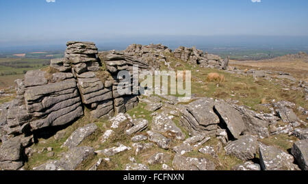 Am Belstone Tor, Dartmoor, Blick nach Norden Stockfoto