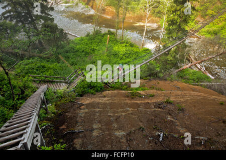 BC - Wanderer überqueren die Hängebrücke über den Logan Creek an einem nebligen Morgen vor Beginn des langen Leiter Aufstiegs auf einer Klippe. Stockfoto