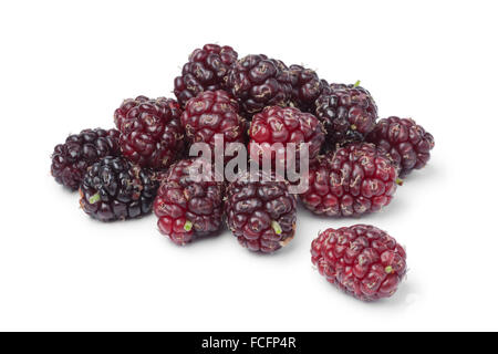 Frisch gepflückt Reifen Maulbeeren auf weißem Hintergrund Stockfoto