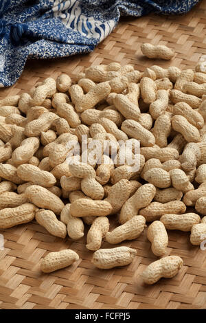 Geröstete Erdnüsse in der Schale Stockfoto