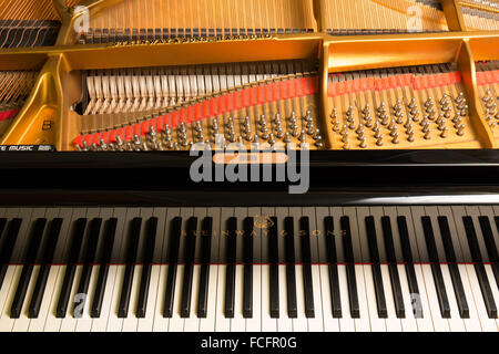 Aufnahme eines schwarzen Steinway & Söhne Modell b-Flügel mit dem Deckel geöffnet und zeigt die Tasten, Saiten und Logo hautnah Stockfoto