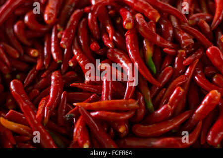 Rote Chilis Stockfoto