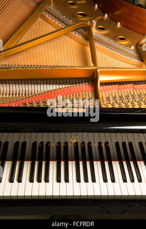 Aufnahme eines schwarzen Steinway & Söhne Modell b-Flügel mit dem Deckel geöffnet und zeigt die Tasten, Saiten und Logo hautnah Stockfoto