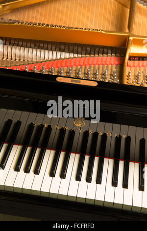 Aufnahme eines schwarzen Steinway & Söhne Modell b-Flügel mit dem Deckel geöffnet und zeigt die Tasten, Saiten und Logo hautnah Stockfoto