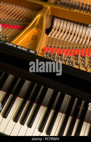 Aufnahme eines schwarzen Steinway & Söhne Modell b-Flügel mit dem Deckel geöffnet und zeigt die Tasten, Saiten und Logo hautnah Stockfoto