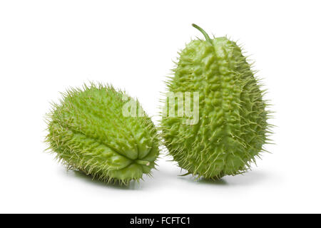 Gesamte spined frische Chayote Obst auf weißem Hintergrund Stockfoto