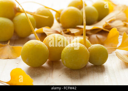 Reife gelbe Ginkgo Biloba Frucht Stockfoto
