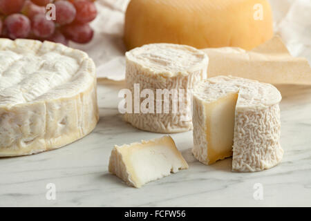 Französische Käseplatte mit Camembert, Ziegenkäse und Trauben als dessert Stockfoto