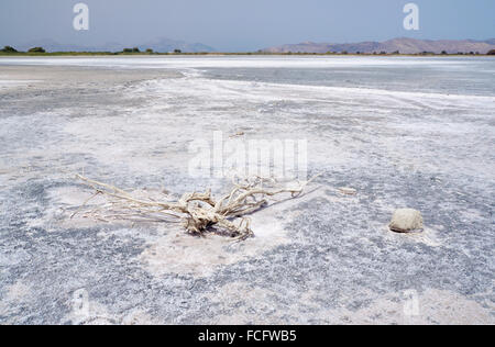-Salz auf der Unterseite der Salt Lake Alykes auf der Insel Kos in Griechenland Stockfoto