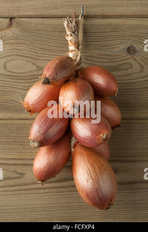 Handvoll frische braune französische Schalotten an der Wand hängen Stockfoto