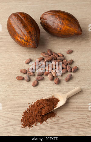 Kakao-Frucht, Kakaobohnen und Kakaopulver auf einem Holzlöffel Stockfoto