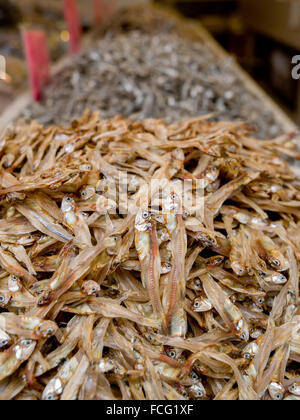 Hochflor getrocknete Sardinen in Chinatown Fischmarkt zu verkaufen. Stockfoto