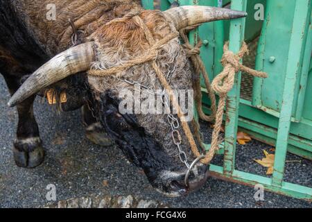 ABBILDUNG VON AVEYRON (12), FRANKREICH Stockfoto