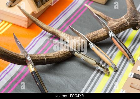 ABBILDUNG VON AVEYRON (12), FRANKREICH Stockfoto