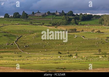 ABBILDUNG VON AVEYRON (12), FRANKREICH Stockfoto