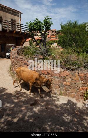 AUßENILLUSTRATION SÜD-KORSIKA (2A), FRANKREICH Stockfoto
