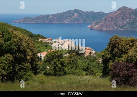 AUßENILLUSTRATION SÜD-KORSIKA (2A), FRANKREICH Stockfoto