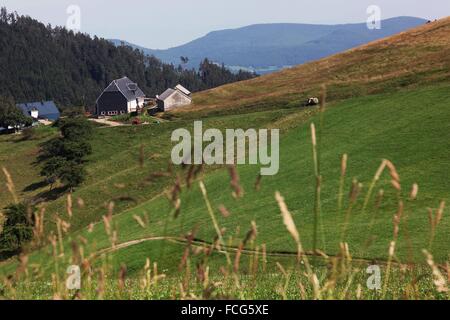 BALLONS DES VOSGES REGIONALER NATURPARK, (68) HAUT-RHIN, ELSASS HAUT-RHIN, ELSASS, FRANKREICH Stockfoto