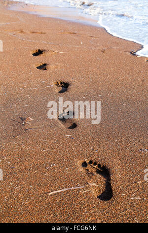 Red Beach in Akrotiri, Santorin, Griechenland Stockfoto