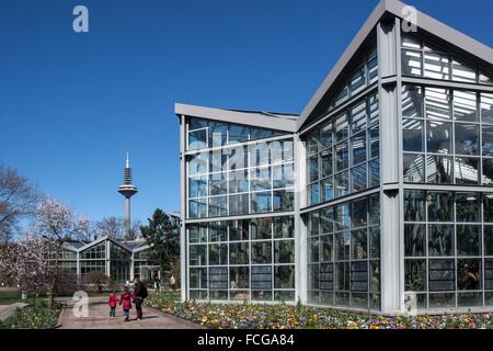 ABBILDUNG VON FRANKFURT AM MAIN, HESSEN, DEUTSCHLAND Stockfoto