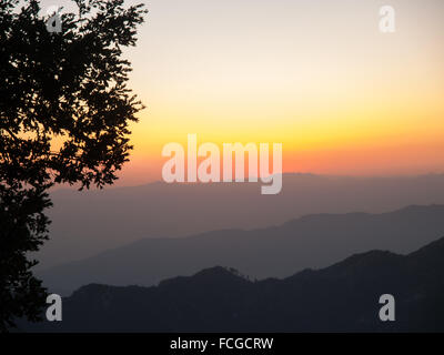 Pink, Gelb, Lavendel, orange Sonnenuntergang über Berge und Baum Silhouette in Kalifornien, USA. Stockfoto