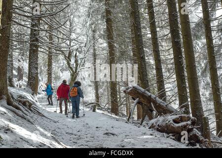 SAMOENS, (74) HAUTE SAVOIE RHONE ALPES, FRANKREICH Stockfoto