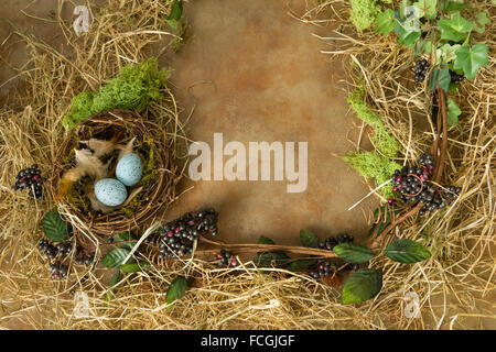 Grenze-Bild gemacht von Beeren, Federblättern und ein Vogelnest Stockfoto