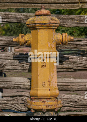 Gelbe Vintage Hydranten vor Holzzaun auf Toronto Island, Ontario, Kanada. Stockfoto