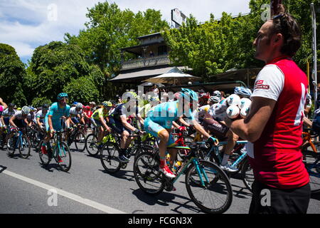 Adelaide, South Australia, Australien. 20. Januar 2016. Einzugsbereich, Stirling, Stufe 2, Tour Down Under, Australien. © Gary Francis/ZUMA Wire/ZUMAPRESS.com/Alamy Live-Nachrichten Stockfoto