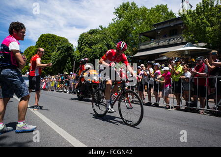 Adelaide, South Australia, Australien. 20. Januar 2016. Einzugsbereich, Stirling, Stufe 2, Tour Down Under, Australien. © Gary Francis/ZUMA Wire/ZUMAPRESS.com/Alamy Live-Nachrichten Stockfoto