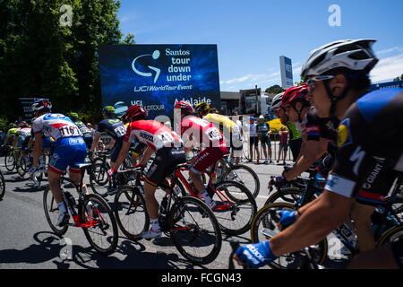 Adelaide, South Australia, Australien. 20. Januar 2016. Hauptfeld Stirling, Phase 2 der Tour Down Under Radrennen auf der Durchreise. © Gary Francis/ZUMA Wire/ZUMAPRESS.com/Alamy Live-Nachrichten Stockfoto