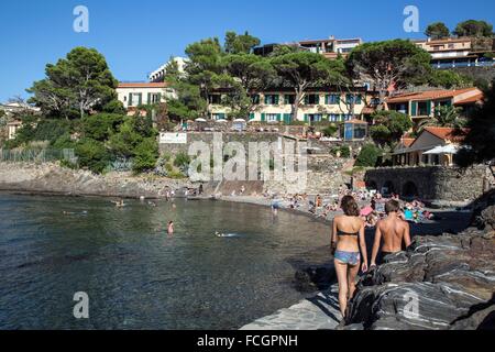 STADT COLLIOURE, PYRENÄEN-ORIENTALES, FRANKREICH Stockfoto