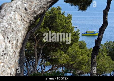 CARRY-LE-ROUET, MARINE PARK AN DER CÔTE BLEUE, FRANKREICH Stockfoto