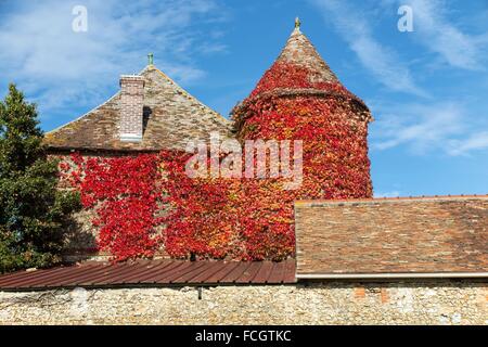 LANDWIRTSCHAFTLICHES GEBÄUDE BEDECKT IN WILDEM WEIN IN HERBSTFARBEN, FRANKREICH Stockfoto