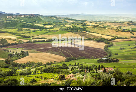 Panorama von Val D'Orcia Tal in der Toskana. Ein Wiev von Montepulciano entfernt. Stockfoto