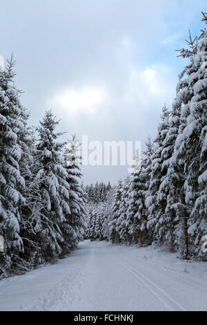 Loipen in einer malerischen Winterlandschaft, Girkhausen, Bad Berleburg, im Sauerland, Nordrhein-Westfalen, Deutschland. Stockfoto