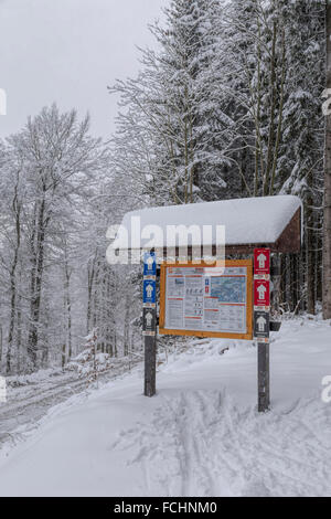 Aushang mit Informationen für Skilanglauf, Girkhausen, Bad Berleburg, Sauerland, Nordrhein-Westfalen, Deutschland. Stockfoto
