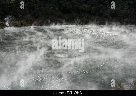 55 ° C heißen Pfanne See in Waimangu Volcanic Rift Valley in Neuseeland ist der größte Sprudel in der Welt. Stockfoto