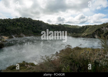 55 ° C heißen Pfanne See in Waimangu Volcanic Rift Valley in Neuseeland ist der größte Sprudel in der Welt. Stockfoto