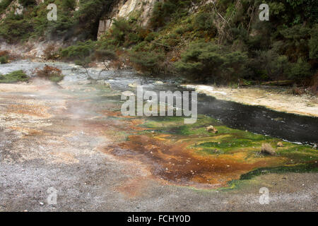 Der heiße Überlauf des Seewassers 55 ° Celsius heißen Pfanne in Waimangu Volcanic Valley ist voll von Kieselsäure Formationen. Stockfoto