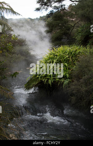 Der heiße Überlauf des Seewassers 55 ° Celsius heißen Pfanne in Waimangu Volcanic Valley ist voll von Kieselsäure Formationen. Stockfoto