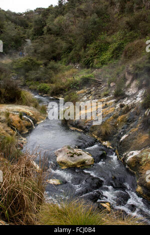 Der heiße Überlauf des Seewassers 55 ° Celsius heißen Pfanne in Waimangu Volcanic Valley ist voll von Kieselsäure Formationen. Stockfoto