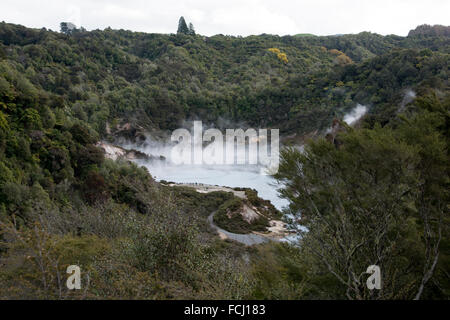 55 ° C heißen Pfanne See in Waimangu Volcanic Rift Valley in Neuseeland ist der größte Sprudel in der Welt. Stockfoto