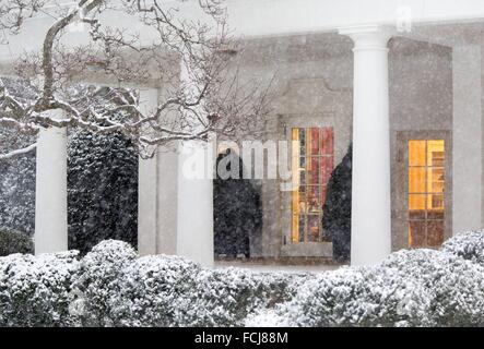 Washington DC, USA. 22. Januar 2016. US-Präsident Barack Obama funktioniert im Oval Office wie Schnee außerhalb von Winter Sturm Jonas 22. Januar 2016 in Washington, DC fällt. Stockfoto