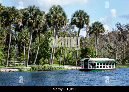 Florida, Süd, Silver Springs, State Park, Silver River Water, Glasbodenboot, Chief Micanopy, Natur, natürliche Landschaft, Wasser, Palmen, Besucher reisen tr Stockfoto