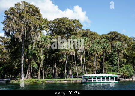 Florida, Süd, Silver Springs, State Park, Silver River Water, Glasbodenboot, Chief Micanopy, Natur, natürliche Landschaft, Wasser, Palmen, Besucher reisen tr Stockfoto