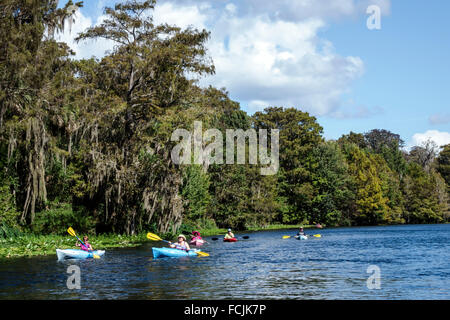 Florida, Süd, Silver Springs, State Park, Silver River Water, Natur, natürliche Landschaft, Wasser, spanisches Moos, Kajaks, Paddeln, Kajaks, Besucher reisen in Stockfoto