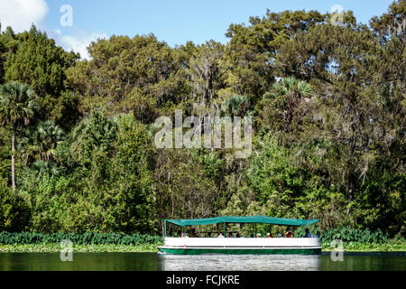 Florida, Süd, Silver Springs, State Park, Silver River Water, Glasbodenboot, Chief Micanopy, Natur, natürliche Landschaft, Wasser, Besucher reisen tou Stockfoto